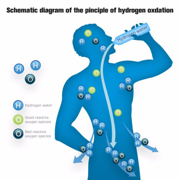 Hydrogen Water Bottle